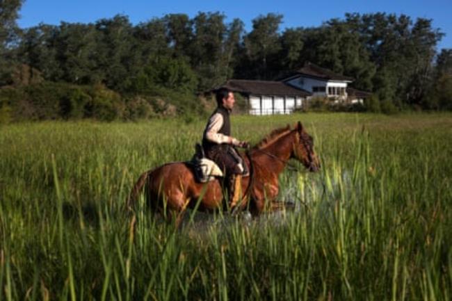 Alvaro Robles on horseback in Doñana natio<em></em>nal park