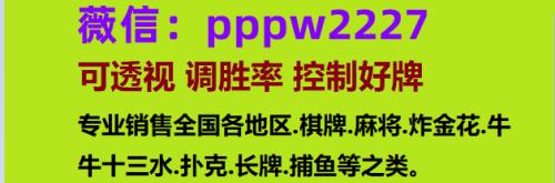 “这不是一场婚礼，这是地狱”——伊拉克家庭庆祝活动发生火灾，100多人死亡